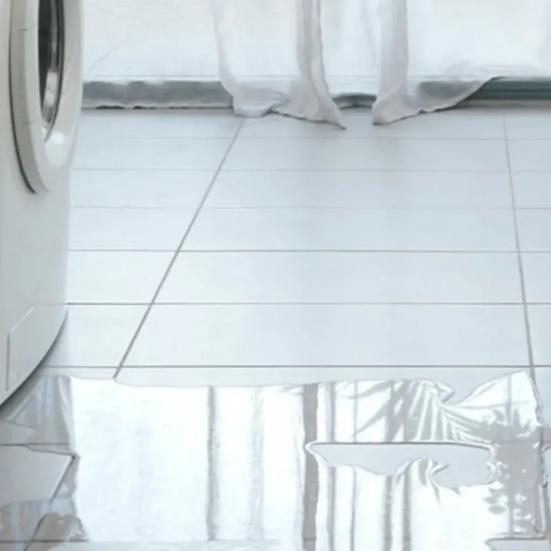 Appliance Leak Cleanup in Habersham County, GA