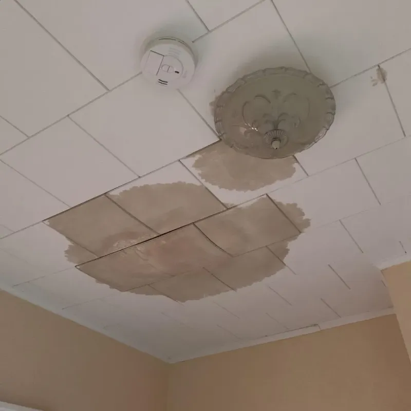 Ceiling Water Damage Repair in Habersham County, GA